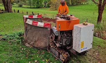 tree stump removal exeter